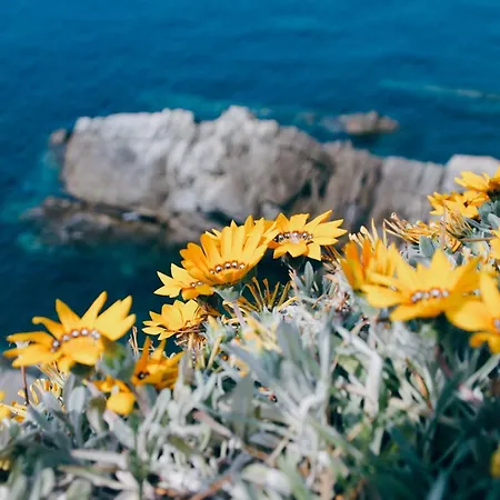 Villa Domus 1938 Villa