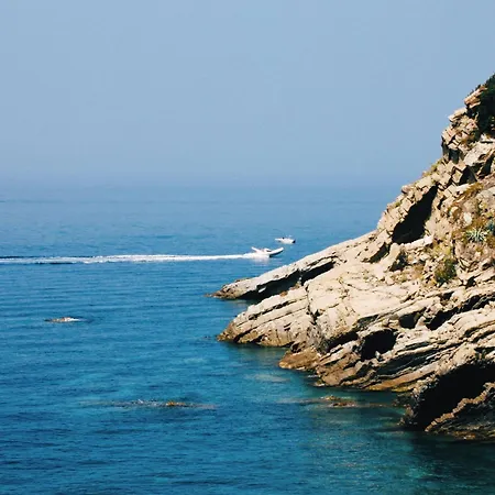 Villa Domus 1938 Villa *