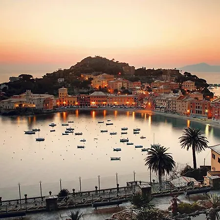 Villa Domus 1938 Villa *