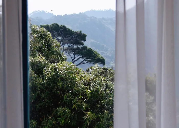 Domus 1938 Sestri Levante