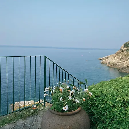 Domus 1938 Villa *