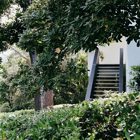 Domus 1938 Villa