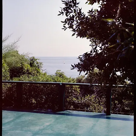 Villa Domus 1938