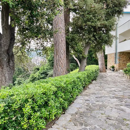 Domus 1938 فيلة *