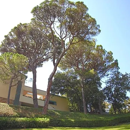 Domus 1938