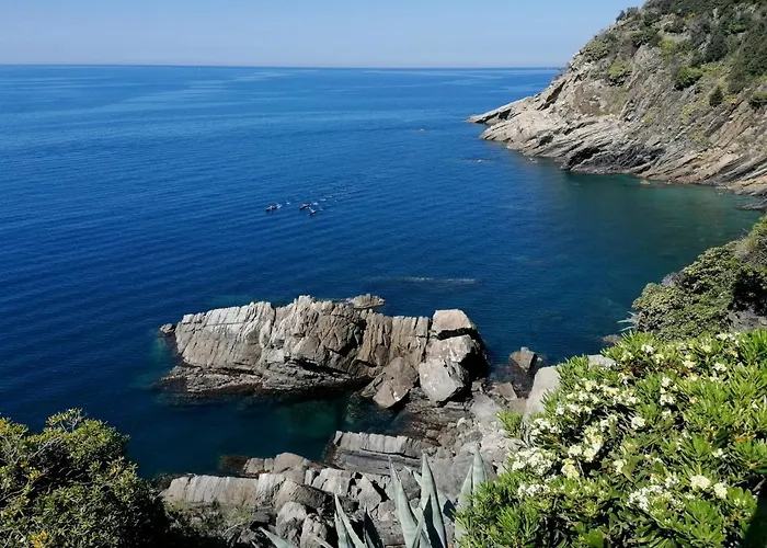 فيلة Domus 1938 *