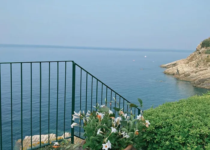 Domus 1938 فيلة *